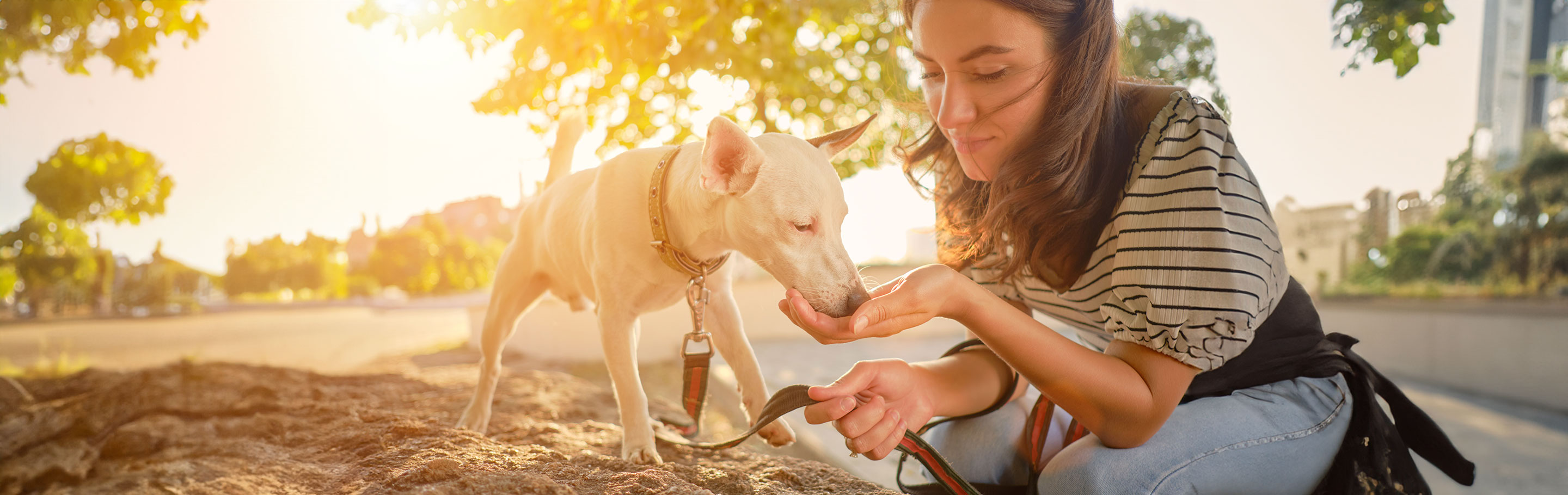 Ação do dia Mundial do PET
