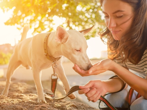 Ação do dia Mundial do PET